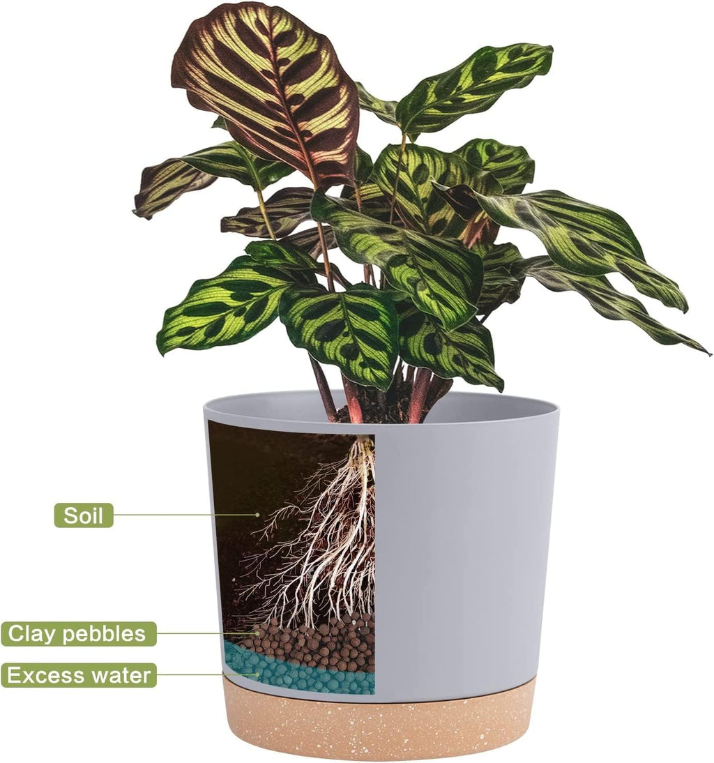 QCQHDU 10 inch Plant Pot, 2 Pack Planters for Indoor Plants with Drainage Holes & Saucer, Outdoor Flower Pots Home Garden Modern Decor
