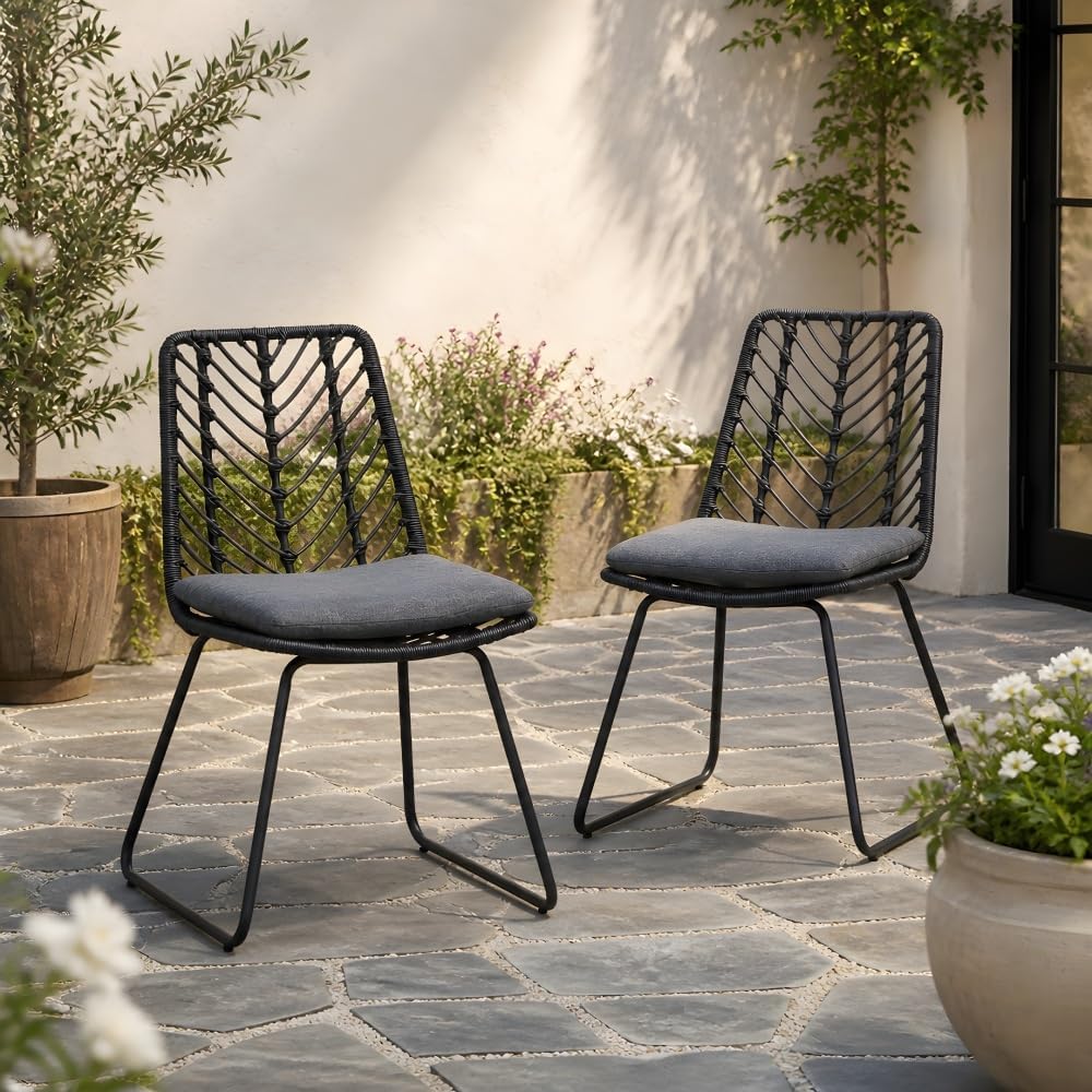 Saiveina Deja Chair,2PCS with 2 Cushions,Gray