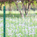 Green PVC Coated Welded Wire Fence 36 Inch x 50 Foot, 2 Inch x 3 Inch 16GA, Garden Border Fencing Roll Vinyl Coating Metal Wire Mesh for Yard Vegetable Plant Protection Poultry Netting