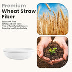 Homienly Wheat Straw Bowls,Large Salad Bowls Set of 2,Big bowls 60 OZ, Unbreakable Serving Bowls, Bowl Plates, Microwave & Dishwasher Safe Bowl Set for Outdoor, Kitchen, Serving, Camping (White)