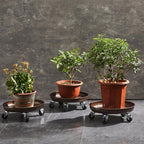 2 Pack 16" Heavy Duty Plant Dolly with Wheels, 320lbs Metal Rolling Plant Stand with Casters, Round Wheeled Planter Caddy Roller Base Carry Potted Tree Flower Pot for Indoor Outdoor Garden, Bronze
