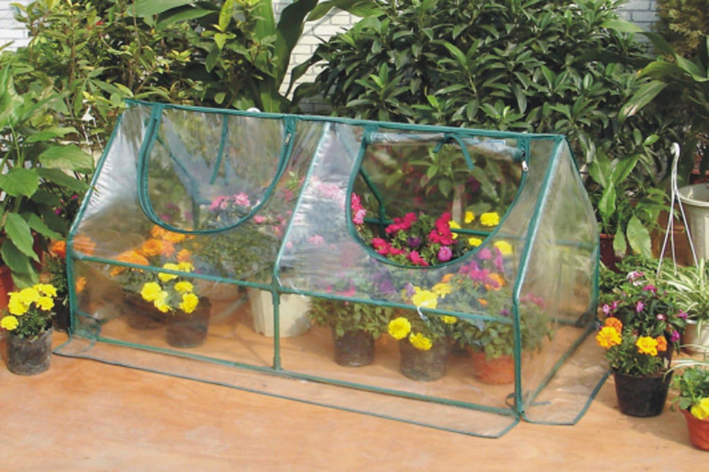 Zenport SH3212A Garden Cold Frame Greenhouse Cloche - 10 Pack