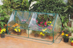 Zenport SH3212A Garden Cold Frame Greenhouse Cloche - 3 Pack