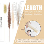 Pampas Grass Decor 110 pcs 17.5inch Natural Dried Pampas Grass-15Pcs White Pampas & 15Pcs Brown Pampas & 50Pcs Reed Grass& 30Pcs Bunny Tail Grass,Fluffy Dried Flowers for Home Decor Wedding Boho Decor