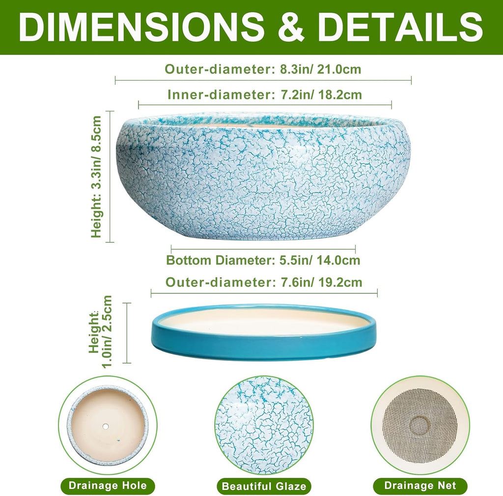 Succulent Pots 8 Inch - Ceramic Bonsai Pots with Drainage Hole and Saucer, Succulent Planters for Indoor Plants Outdoor, Round Shallow Planter Bowl, Porch Decor, Gardening Gifts, Blue