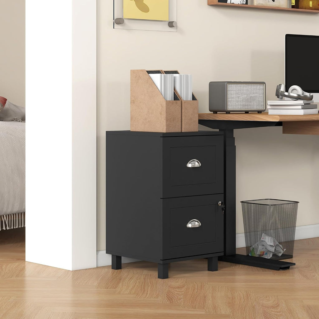HOMCOM Vertical Filing Cabinet with 2 Drawers Lockable File Cabinet Black | Adjustable Hanging Bars, for A4 and Letter, for Home Office