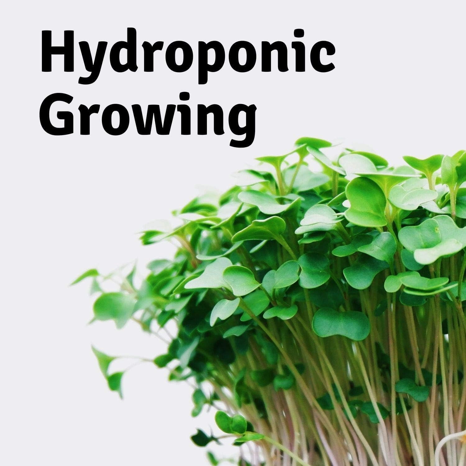 Micro-Mats Hydroponic Grow Pads - for Organic Production - 10 Pack - Plant & Seed Germination: Wheatgrass, Microgreens, More - for 20" x 10" Greenhouse Trays