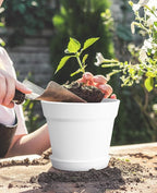 homenote Plant Pots,6 Inch Flower Pots for Plants Plastic Planters for Indoor with Multiple Drainage Holes and Trays, for All Home Garden Flowers Succulents,Outdoor(White&Black,16 Pack)
