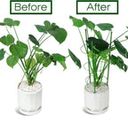 LEOBRO Tomato Cage, 2 PCS Plant Support Cage Rust Resistant Garden Ring Stake Plant Support for Tomato, Trellis, Climbing Plant, Flower, Small Plant Cages for Small Plants,17.7" H