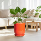 Indoor Planter 10 Inch - Ceramic Plant Pot with Drainage Hole and Saucer, Modern Decorative Round Planter for Indoor Outdoor Plants, Housewarming Gifts, Home Garden Office Decor, Orange