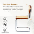 Rattan Dining Chairs Set of 2, Boho Modern Dining Chairs with Rattan Back, Curved Steel Base, Cantilever Kitchen Chairs for Kitchen, Living Room, Brown