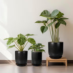 Ceramic Planter 8 Inch - Plant Pot for Indoor Outdoor Plants Cylinder Flower Pot with Drainage Hole and Saucer Black