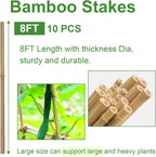 Bamboo Stakes 8FT, 8 Feet Natural Bamboo Plants Stakes, 1" D Thicker Heavy Duty Garden Stakes 10 Pack for Tomatoes, Beans, Flowers, Potted and More Climbing Plants