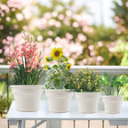 6 Inch Plastic-Flower Pot-for-Indoor Plants, 6 Pack Outdoor Plant Pots with Drainage Holes & Saucers, Resin Garden Pots Planters