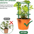24 Pcs Plant Support Stakes, Half Round Plant Support for Indoor Plants, Stackable Garden Flower Support, Plant Stakes for Tomato, Monstera, Peony, Hydrangea Climbing Plants (6.2 "Wide X 11.6" High)
