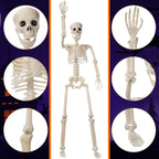 11 Pcs Halloween Skeleton Decorations Realistic Full Body Movable Joints Halloween Plastic Skeleton for Cemetery, Yard, Indoor and Outdoor Party Decoration