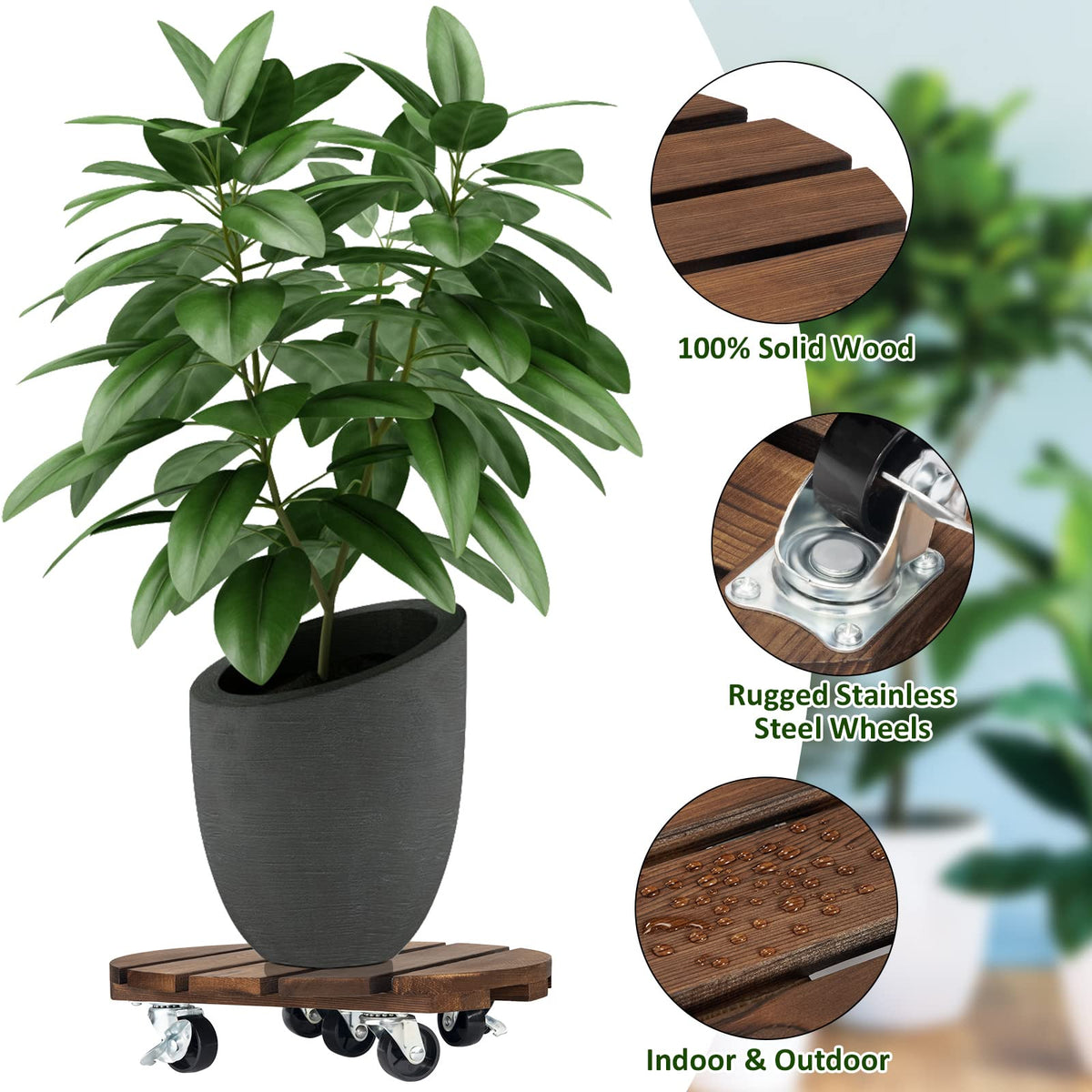 Yangbaga 2pack Plant Caddy 12’’Wood Duty Rolling Plant Stand with 2 360° Lockable Caster Wheels,Indoor Outdoor on Roller Patio/Flower Pot/Succulent Pots