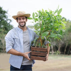 6 Pack Plant Support Plant Stakes for Indoor and Outdoor Plants, 44.8” Plant Sticks with Plant Clips Twist Tiers and Plant Tiers for House Potted Plants, Monstera Plant Support for Climbing Plants