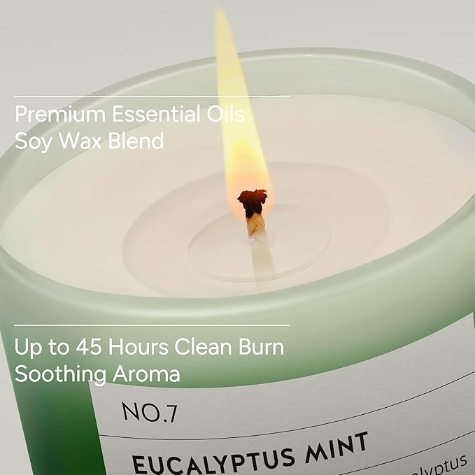 Eucalyptus & Mint Scented Candle, 11oz Aromatherapy Soy Wax Candles for Home Scented, Long Lasting, Eucalyptus Scent, Green Color, Gift for Women, Men, Sisters, Relaxation & Stress Relief