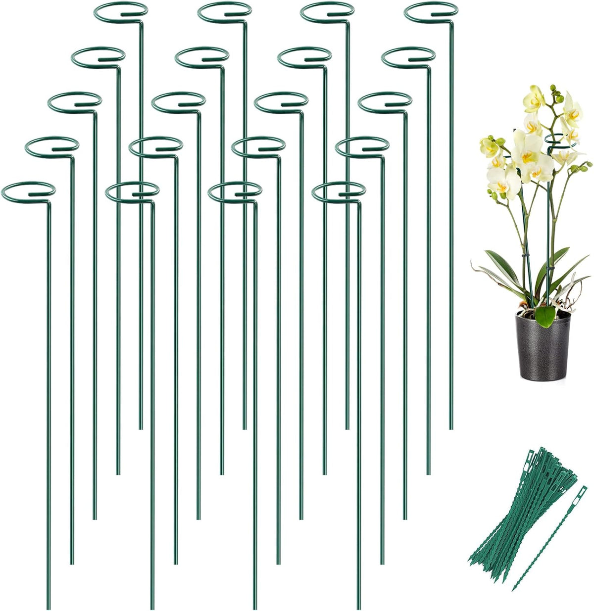 Joyhalo 20 Pack Plant Support Stakes 24 Inch, Plant Stakes, Flower Stakes with 24 Twist Ties, Garden Sticks for Plants Iris, Dahlia, Gladiolus, Amaryllis, Rose, Sunflower, Tomato, Sapling Etc