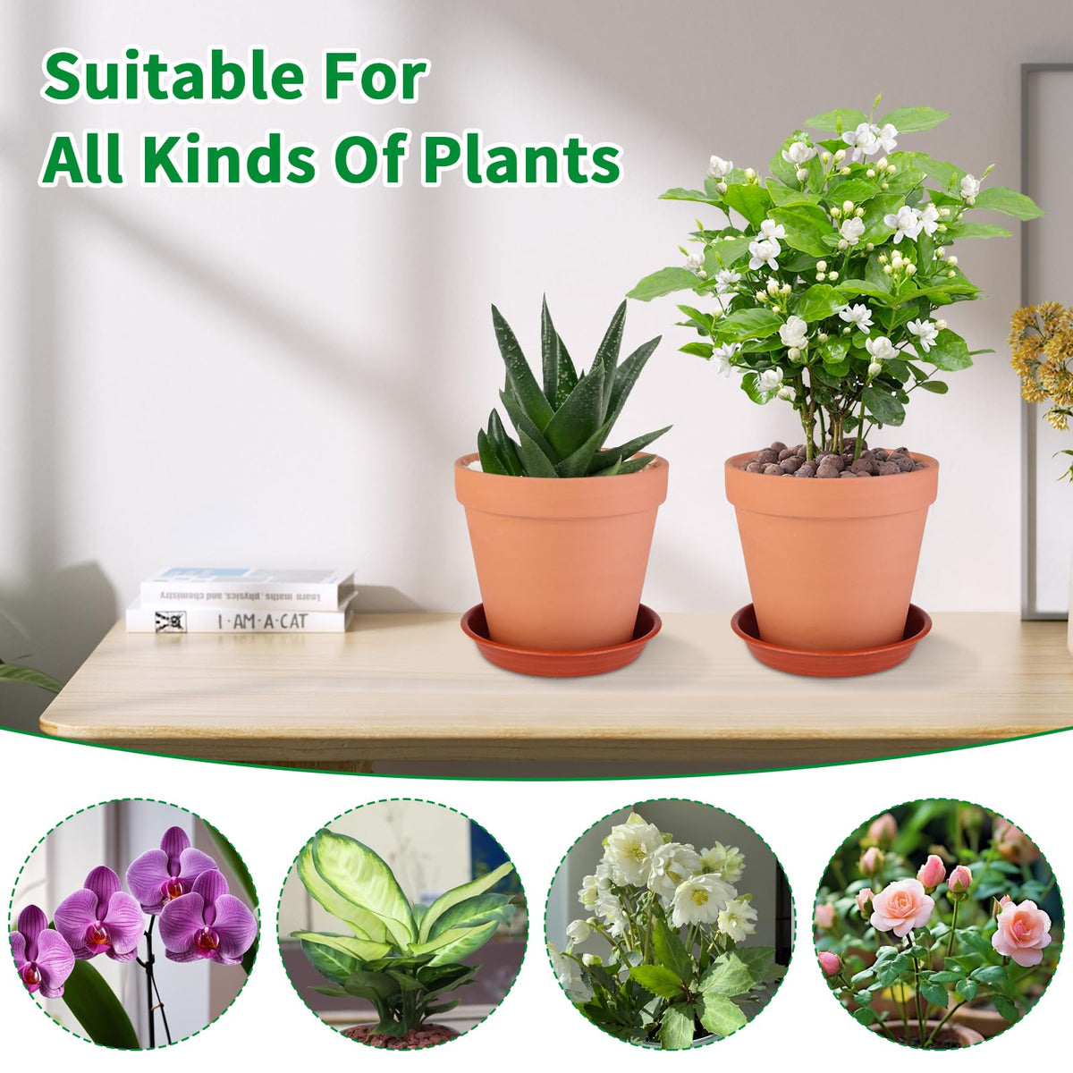 Tuqaumu 6 Pack 6 Inch Terracotta & Clay Pots with Saucer for Plants, Large Terra Cotta Plant Pot with Drainage Hole, Flowerpot for Indoor Outdoor Plants, Crafts, Wedding Favor
