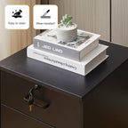 TUKAILAi Mobile File Cabinet with 3 Drawers, Lockable Storage Unit Wooden Rolling Office Filing Cabinet with Wheels, for Legal/Letter/A4 Sized Documents Home Office (Black 2PCS)