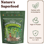 Seedboy Organic Non-GMO Sprouting Seeds, Fresh Salad Blend – USA Grown Microgreens Mix with Alfalfa, Broccoli, Radish, Mung Bean & Lentil – 8 oz Bag Makes 8 Quarts / 24 Servings (Salad Blend)