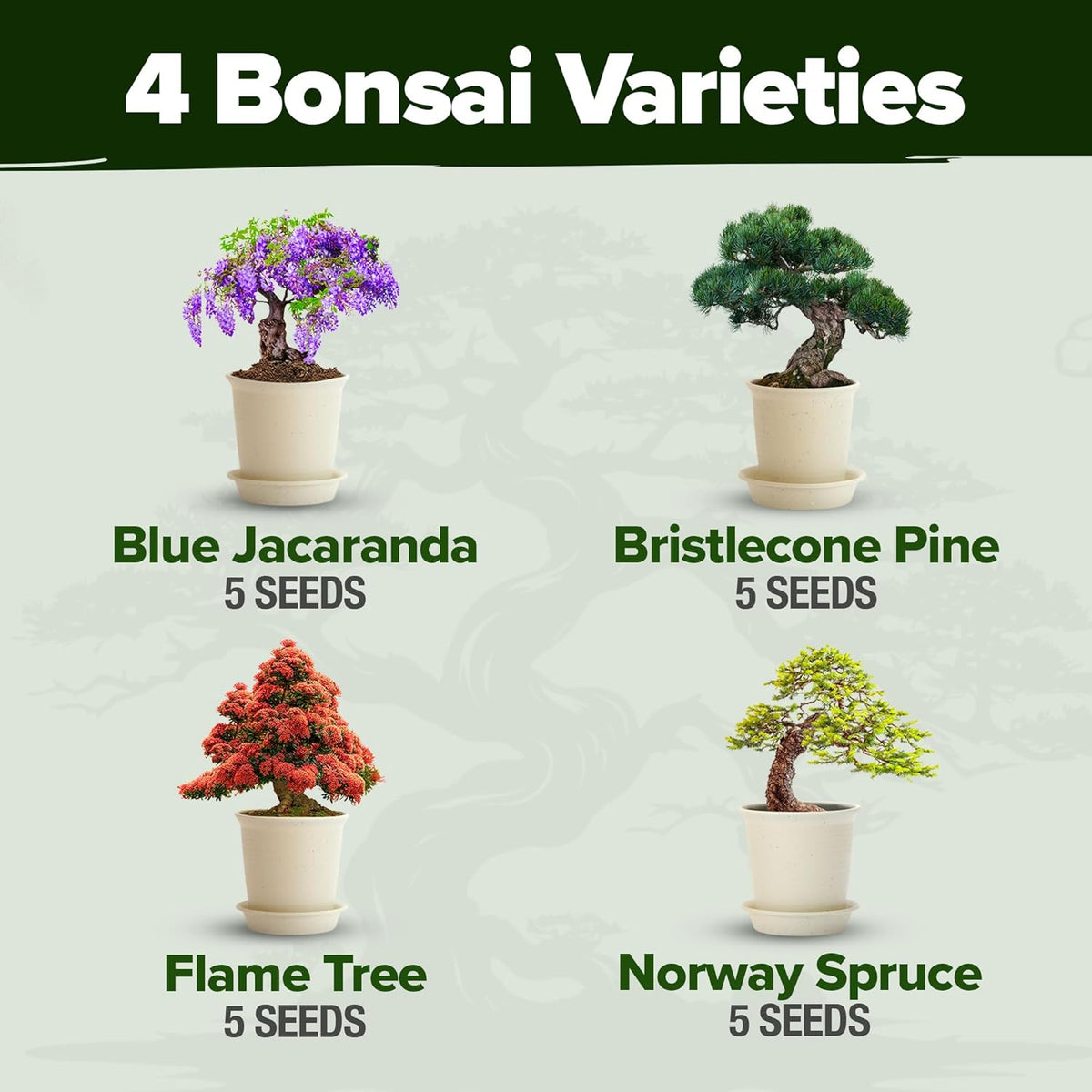 Bonsai Tree Kit 𝗨𝗦𝗔 Gifts for Men & Women - Grow 4 Bonsai Trees - Unique Gardening Crafts for Adults, DIY Hobbies for Plant Lovers & Gardeners - Unusual Christmas Gift Ideas for Mom & Dad