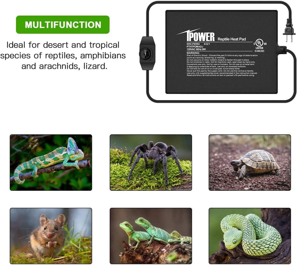 iPower 6 by 8-Inch 8 Watts Reptile Heating Mat with Temperature Controller Under Tank Warmer Terrarium Heat Pad for Reptiles and Amphibians, Black
