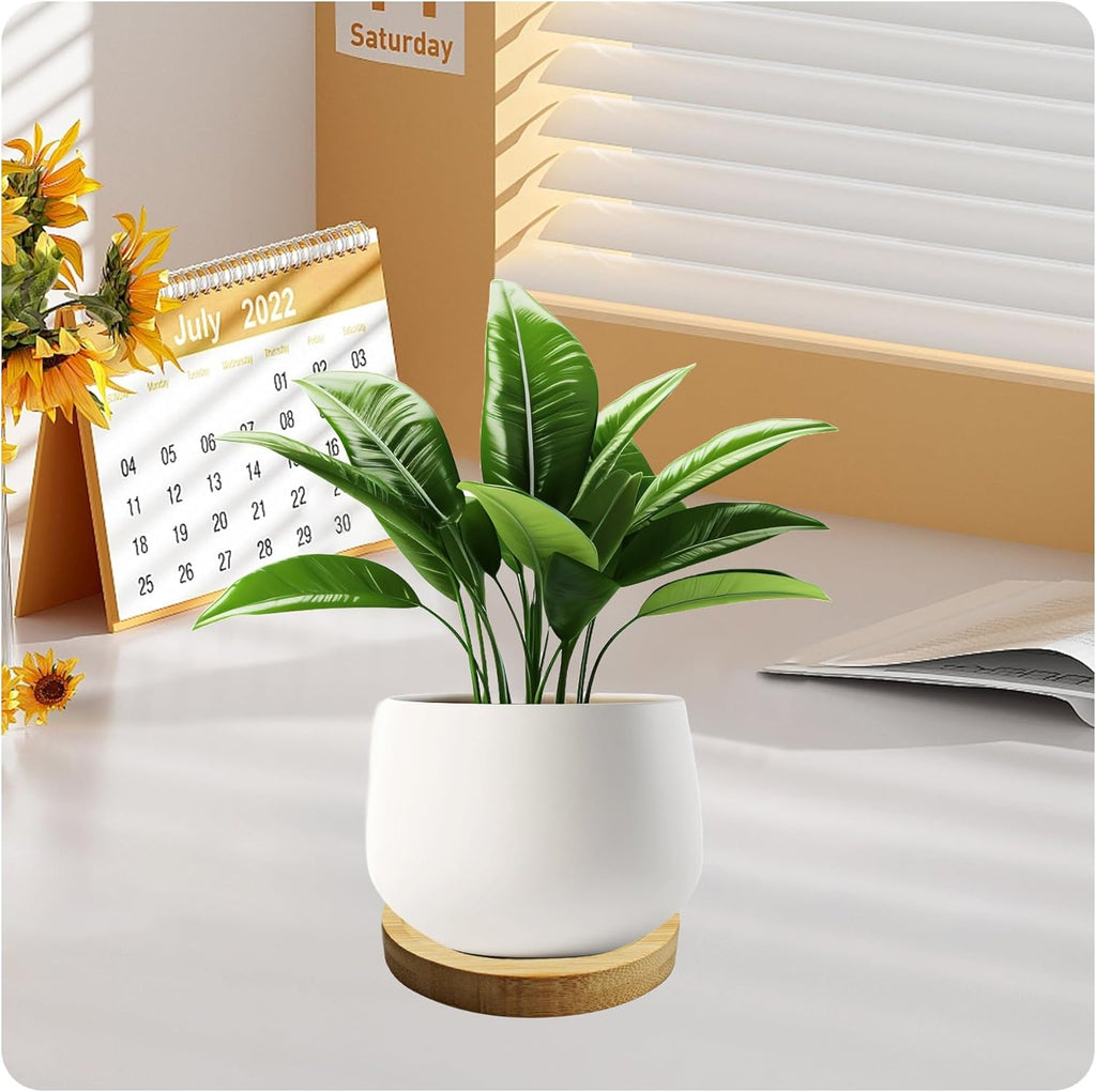 6Pcs 2.5” Bamboo Plant Saucer, Round Pot Tray for Indoor Planters, Succulent Holder Drainage Tray, Versatile Coaster Set for Home Office Decor