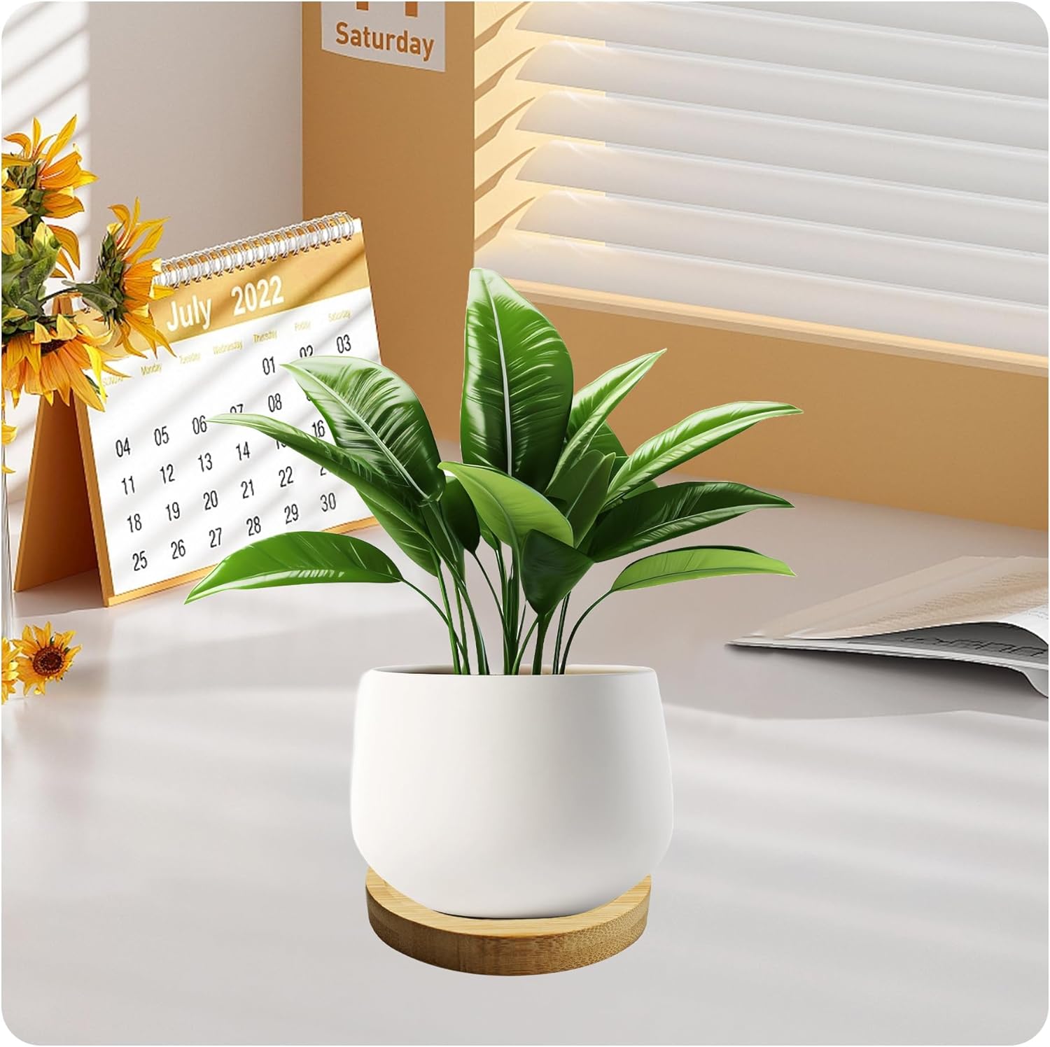 6Pcs 2.5” Bamboo Plant Saucer, Round Pot Tray for Indoor Planters, Succulent Holder Drainage Tray, Versatile Coaster Set for Home Office Decor