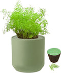 Hydroponic Herb Growing Kit, Self-Watering Kitchen Herb Garden Starter Kit with Green Ceramic Pot and Seeds (Dill)