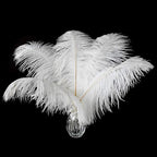 Ballinger Large White Ostrich Feathers - 24Pcs 12-14inch Large Feathers for Vase,Party Centerpieces,Wedding and Home Decor