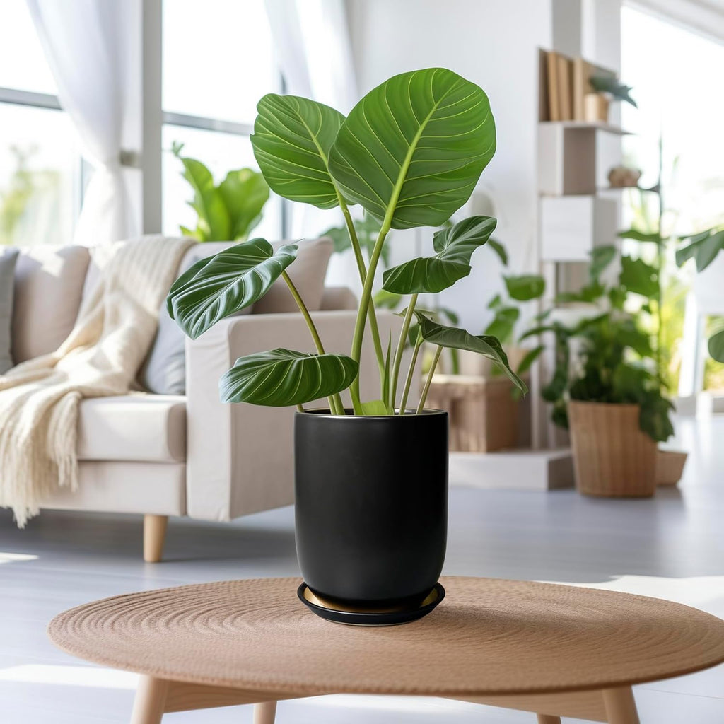 Ceramic Planter 8 Inch - Plant Pot for Indoor Outdoor Plants Cylinder Flower Pot with Drainage Hole and Saucer Black