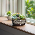 Succulent Planter 6 Inch - Ceramic Bonsai Pots with Drainage Hole and Tray, Shallow Plant Pot Indoor Outdoor, Cactus Succulent Pot, Round Bonsai Planter, Home Decor, Plant Lover Gift, White