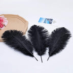 Ballinger Black Large Ostrich Feathers - 24Pcs 12-14inch Large Feathers for Vase,Gatsby and Halloween Party Centerpieces