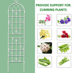 2 Pack Metal Garden Trellis 71" H Fence Rustproof Garden Trellis for Climbing Plants Support Roses Flower Outdoor Lawn, Cream White