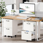 DUMOS 2 Drawer Storage Cabinet, Rolling Under Desk Storage, White | Not for Hanging Files, Printer Stand, Lockable Wheels, Mobile Wood Home Office Organizer