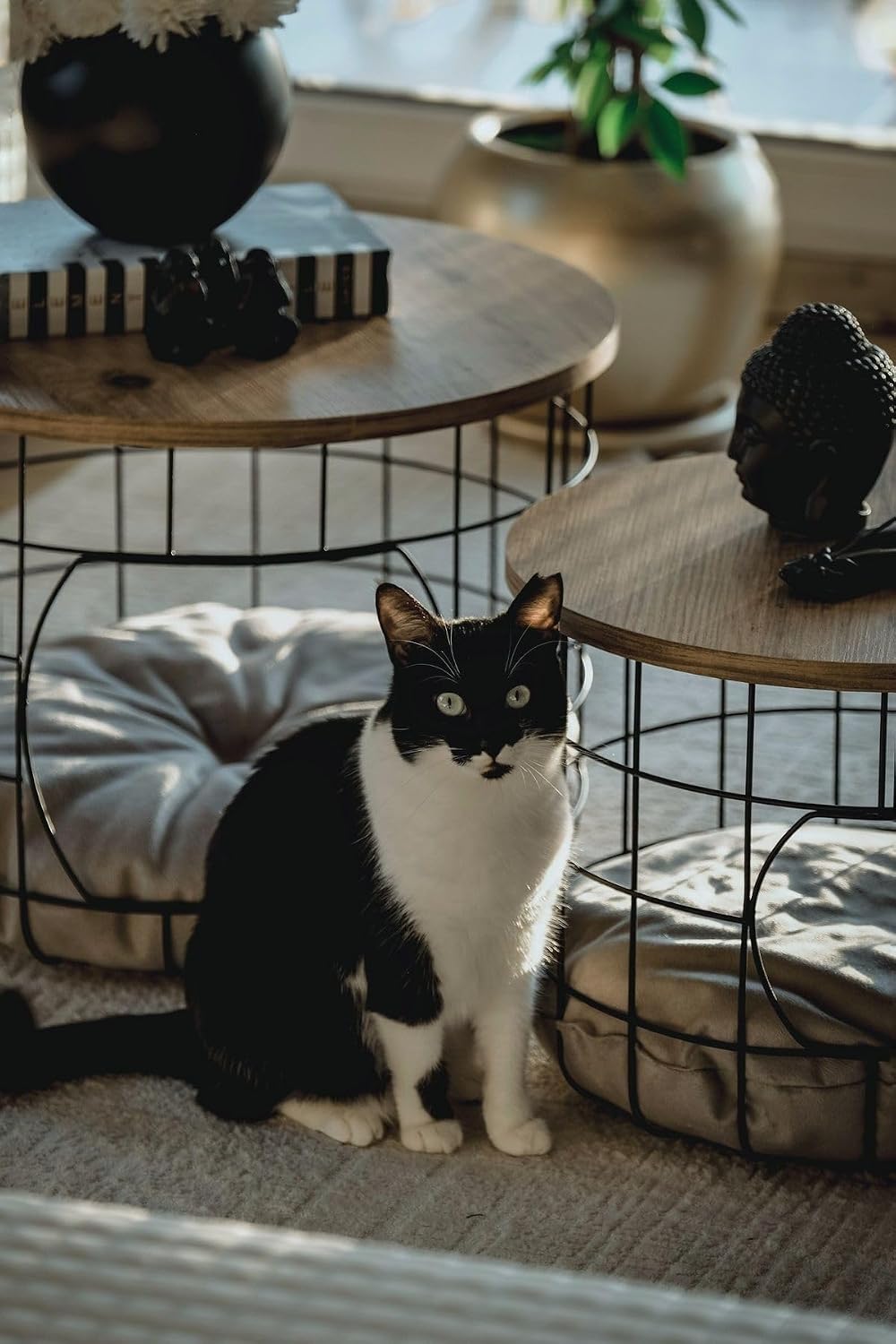 2-Piece Nesting Side Table Set with Cushions Scandinavian Style Round MDF and Metal Frame Modern Living Room Furniture Coffee Table for Pets 21.3 in Diameter - Pine-Black-White Cushion