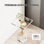 Acrylic Side Table, Acrylic End Table for Living Room Bedroom, Square Modern Side Tables with Brushed Brass Metal Support, Small Clear Drink Table/Nightstand (2pcs)