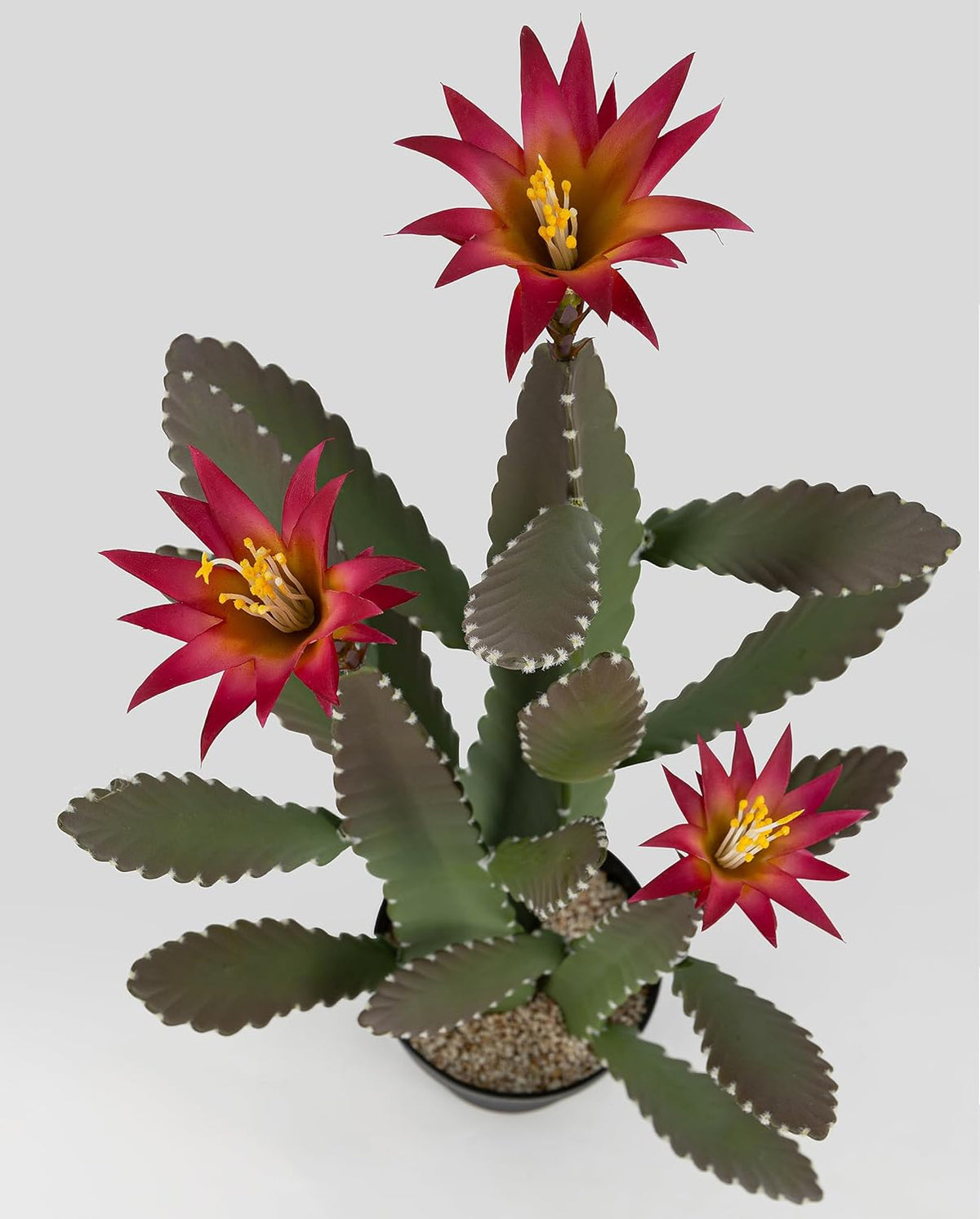 33 Inch Large Artificial Cactus with Magenta Flowers in Pot with Natural Gravel. Satin Finish Leaves with Real Look and Feel. Outdoor and Indoor Faux Plants.