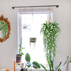 SJL 4pcs Fake Hanging Plants Realistic Artificial Outdoor Flowers Hanging Greenery Artificial Ivy Vine Leaves Faux Green Plastic Plants Greenery Flowers Green Leaf Decor for Wall Home (White)