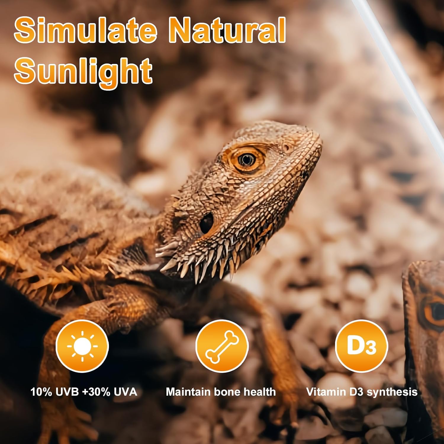 LUCKY HERP T8 30W UVB 10.0 Reptile Light, UVA UVB Reptile Light Bulb 2 Pack, Fluorescent Lamp for Reptiles Amphibians Lizards Chameleons