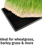 Handy Pantry Micro-Mat Minis Hydroponic Grow Pads - for Organic Production - Plant & Seed Germination: Wheatgrass, Microgreens, More - 4" x 4" to Fit 5" x 5" Greenhouse Plant Trays (96)