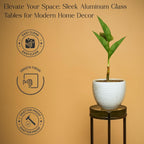Modern Brass Drink Table, 9 x 9 x 23, with Clear Glass, Detailed Glass Accent Table for Small Spaces, Round Plant Stand for Stylish Home Decor,Christmas, New Year, Thanksgiving