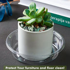 Plant Saucer 30 Pack Plant Trays for Pots 6 Inch Plastic Plant Saucers for Outdoors and Indoors Clear Drip Trays for Potted Plants Flower Pot Plates to Catch Water Plant Drainage Dishes No Holes