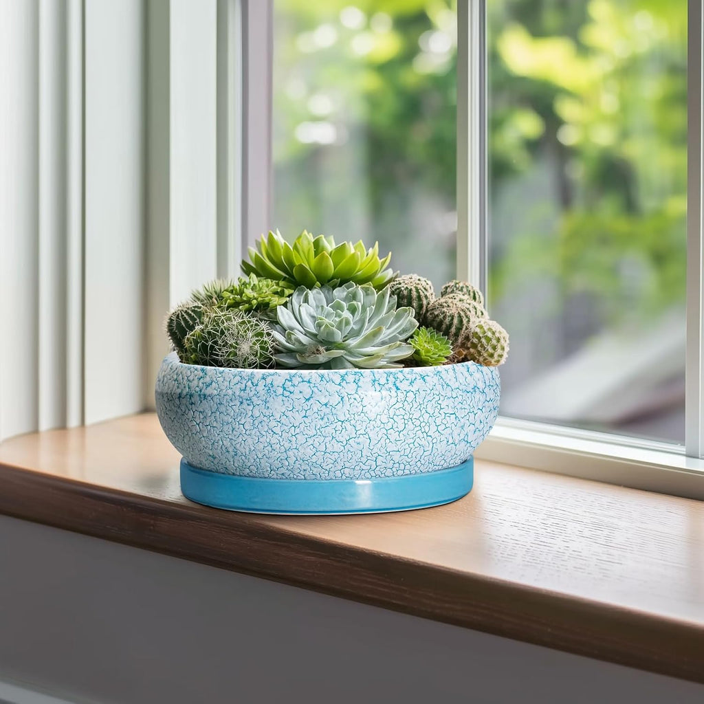 Bonsai Pots 10 Inch - Shallow Ceramic Planters for Indoor Outdoor, Succulent Pots with Drainage Hole and Saucer, Round Planter Bowl, Succulent Planter, Garden Decor, Housewarming Gifts, Blue