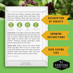 Survival Garden Seeds - Thai Basil Seed for Planting - 5 Packets with Instructions to Plant and Grow Asian Basil Indoors or Outdoors in Your Home Vegetable Garden - Non-GMO Heirloom Variety