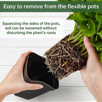 Small Plant Pots 3.5 Inch, 120 Pcs Nursery Pots with Drainage Holes, Durable Plastic Succulents Pots for Seedlings, Cuttings (Black)