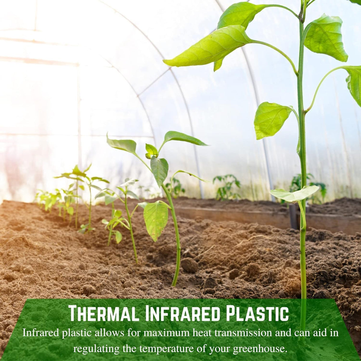 Farm Plastic Supply - Clear Coolmax Greenhouse Plastic Sheeting - 6 Mil - 4 Year UV Resistant Infrared Anti-Condensate Green House Covering Thermal Greenhouse Plastic 6 mil (20' x 20')